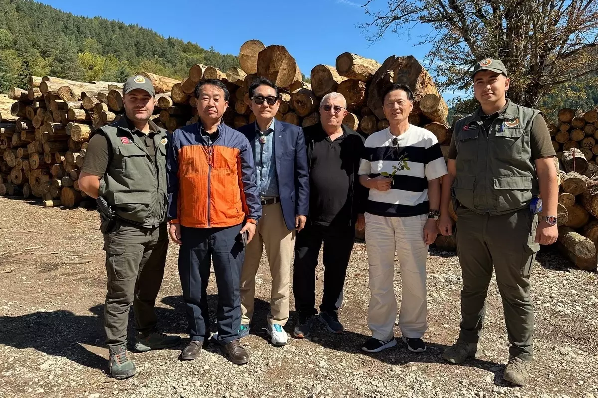 Güney Koreli Heyet Bolu Ormanlarını İnceledi